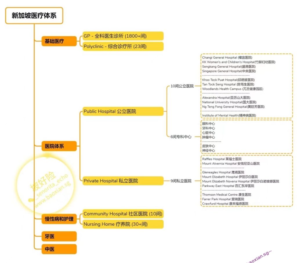 新加坡医疗系统